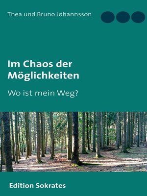 cover image of Im Chaos der Möglichkeiten